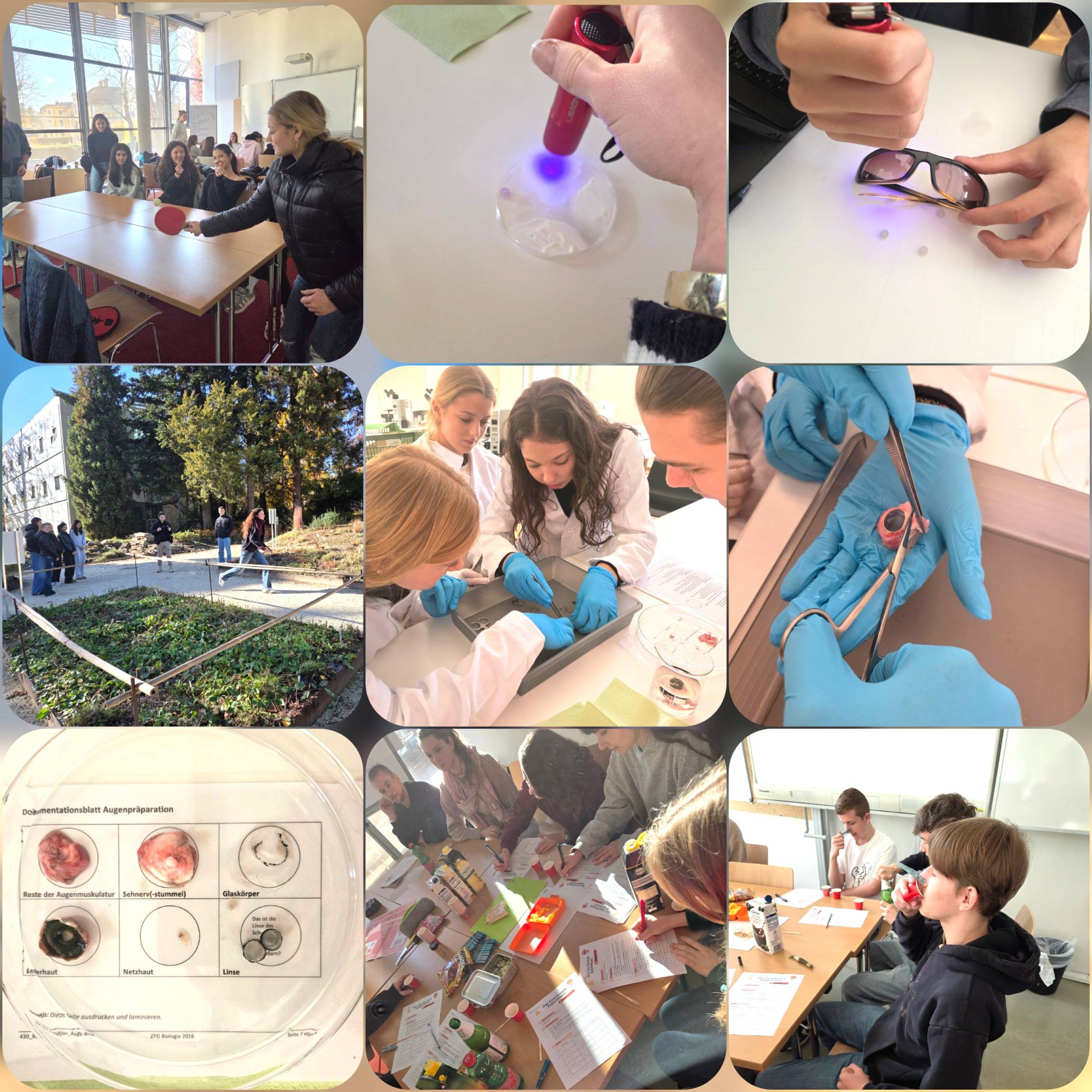 25 Praxistag Neurobio 9